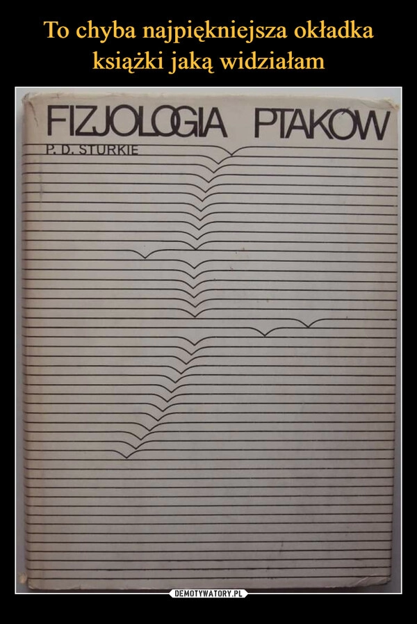 
    To chyba najpiękniejsza okładka książki jaką widziałam