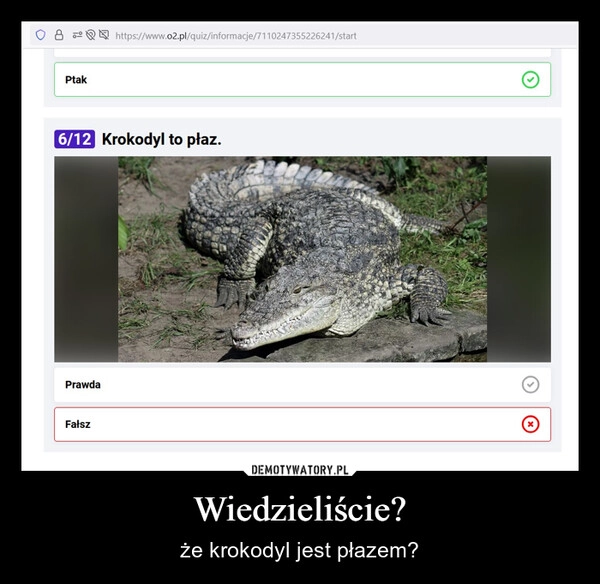 
    Wiedzieliście?