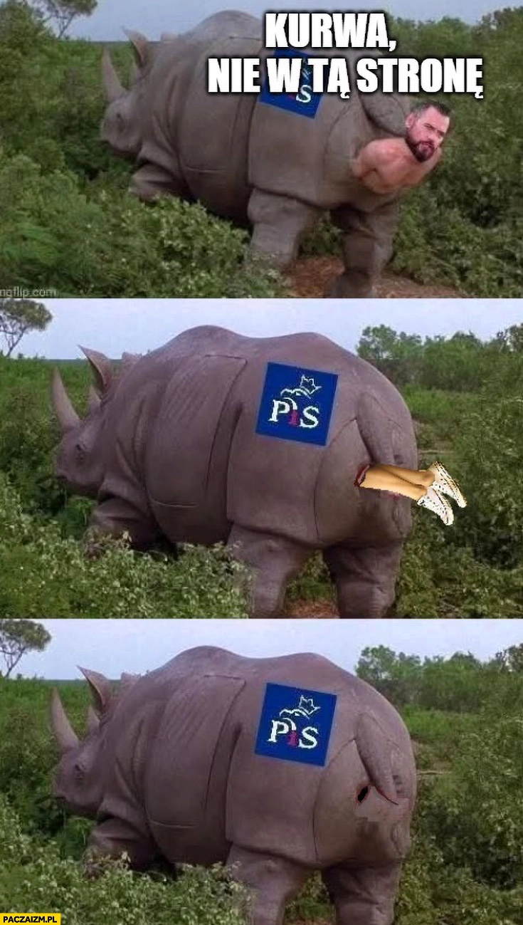 
    Stanowski wychodzi z tyłka nosorożca PiS kurde nie w tę stronę