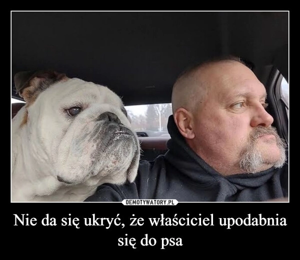 
    Nie da się ukryć, że właściciel upodabnia się do psa 