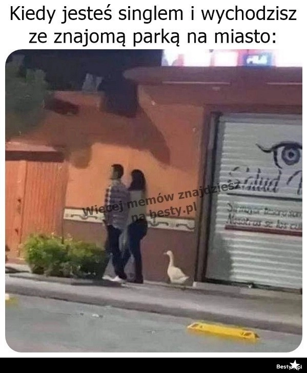 
    Nie przeszkadzajcie sobie 