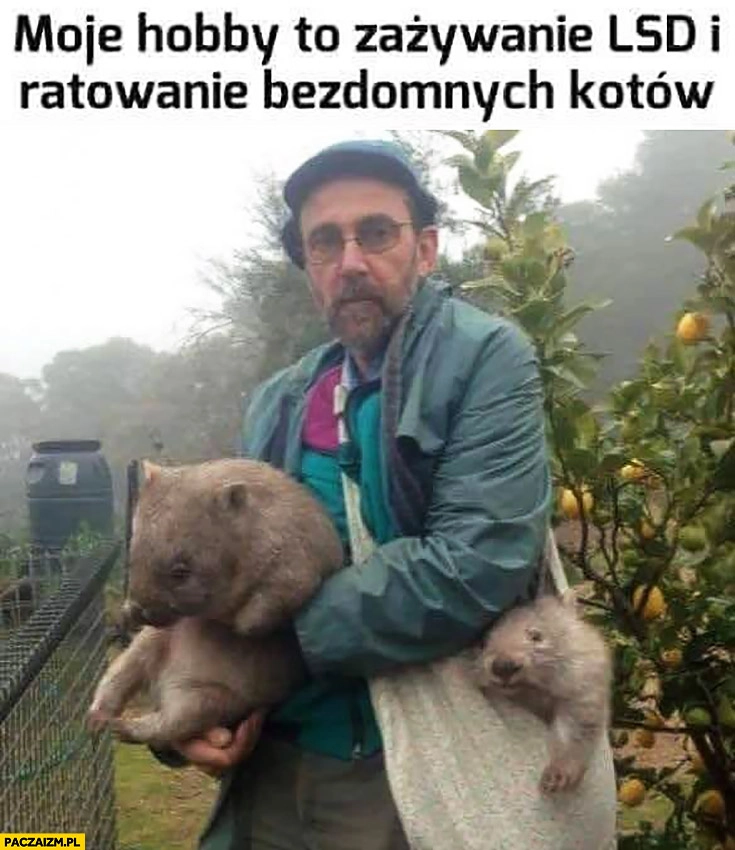 
    Moje hobby to zażywanie LSD i ratowanie bezdomnych kotów facet z wombatami