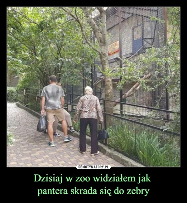 
    Dzisiaj w zoo widziałem jak 
pantera skrada się do zebry