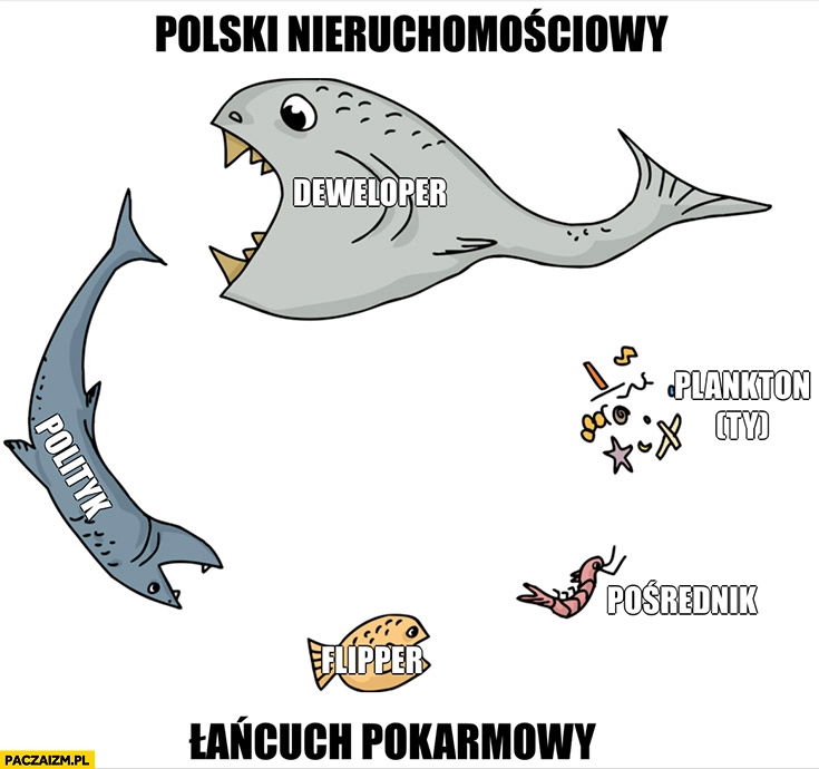 
    Polski rynek nieruchomościowy ryby cykl łańcuch pokarmowy: deweloper, polityk, flipper, pośrednik, plankton (ty)