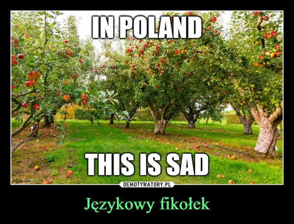 
    Językowy fikołek