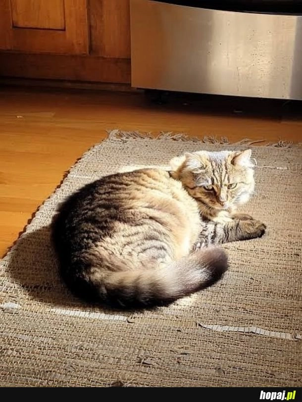 
    Pamiętajcie, by korzystać z każdego promienia słońca!