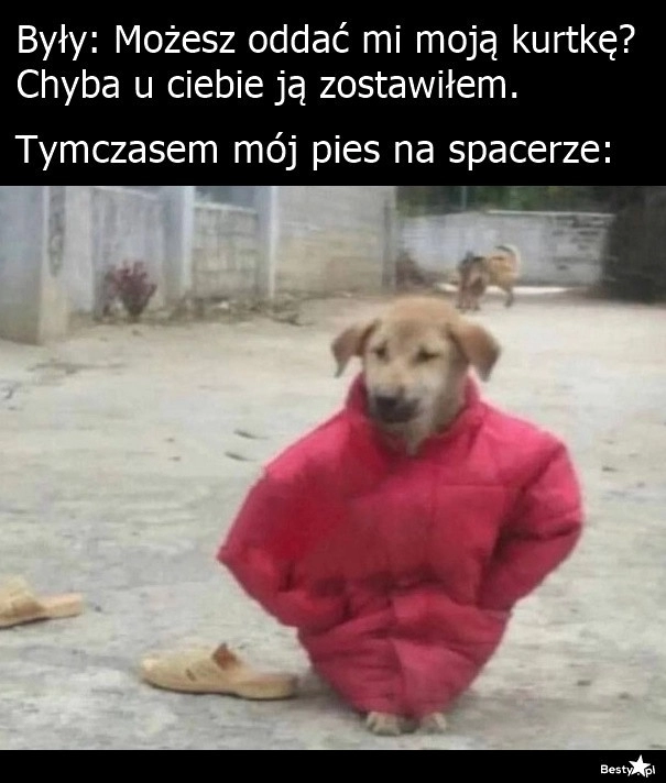 
    Już przejęta 