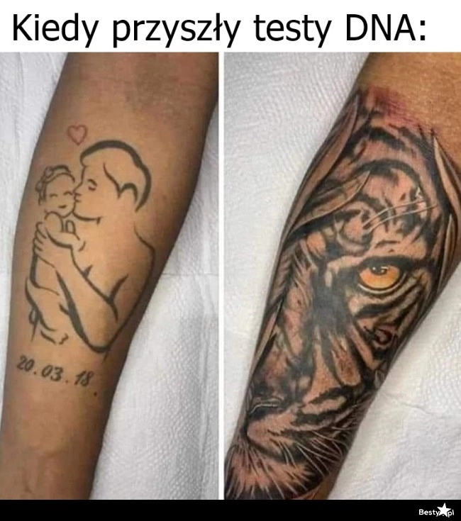 
    Testy DNA 