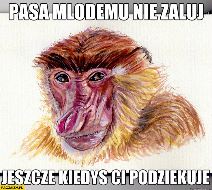 
    Pasa młodemu nie żałuj, jeszcze kiedyś Ci podziękuje typowy Polak nosacz