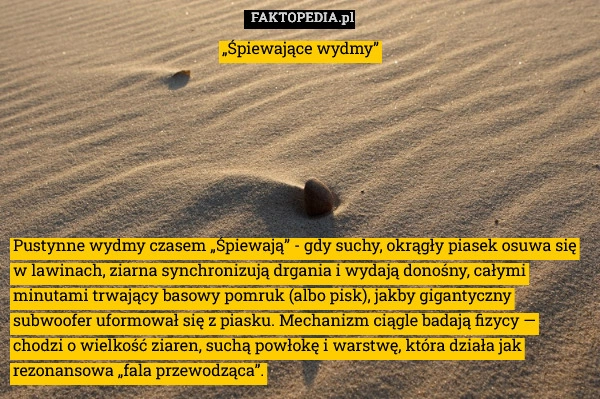 
    Pustynne wydmy czasem „Śpiewają” - gdy suchy, okrągły piasek osuwa się w