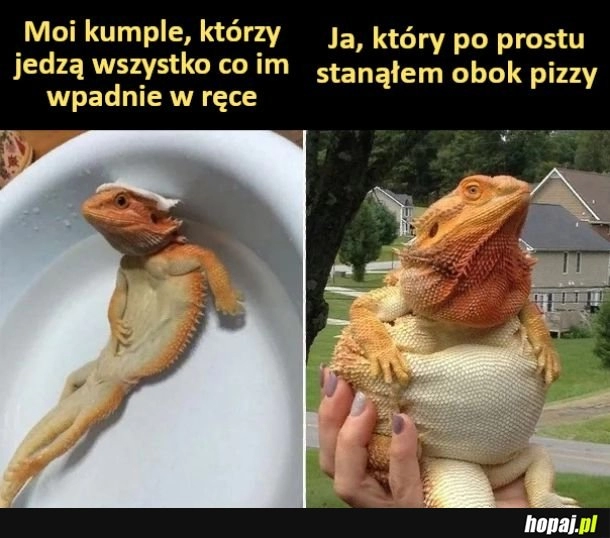 
    Jak to działa, to ja nie wiem