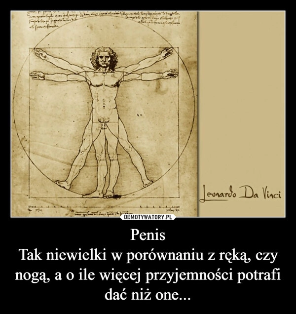 
    Penis
Tak niewielki w porównaniu z ręką, czy nogą, a o ile więcej przyjemności potrafi dać niż one...