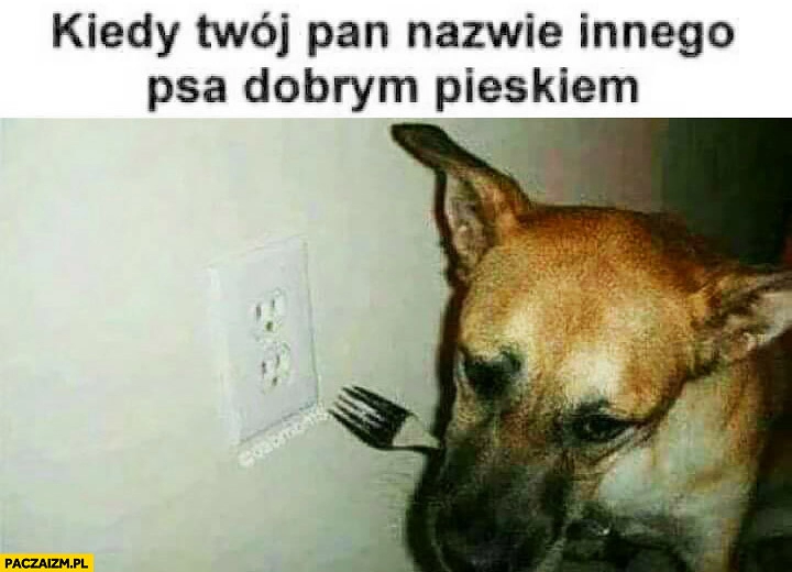 
    Kiedy Twój Pan nazwie innego psa dobrym pieskiem, Pies z widelcem gniazdko samobójstwo