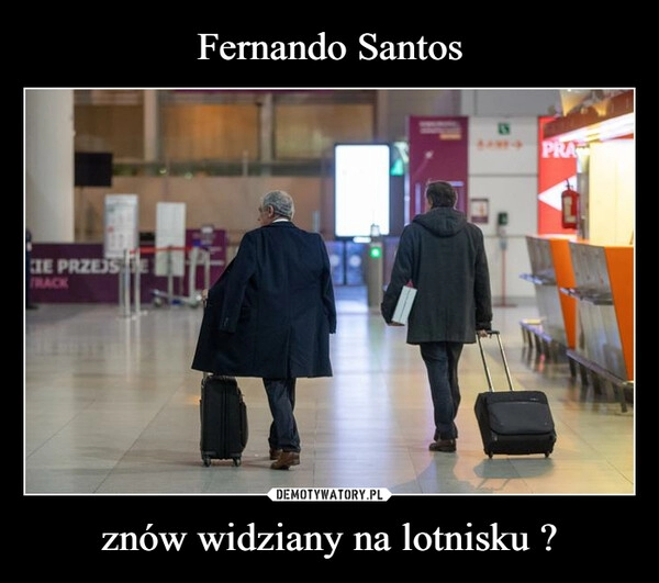 
    Fernando Santos znów widziany na lotnisku ?