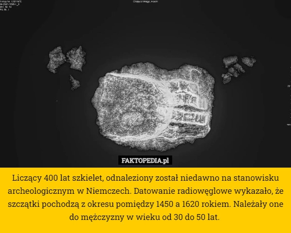 
    Liczący 400 lat szkielet, odnaleziony został niedawno na stanowisku archeologicznym