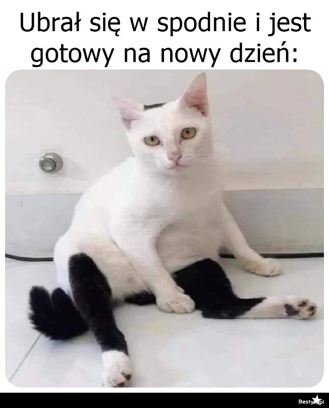 
    Gotowy na nowy dzień 