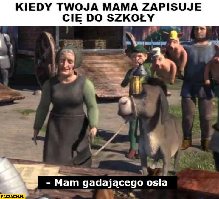 
    Kiedy Twoja mama zapisuje Cię do szkoły mama gadającego osła