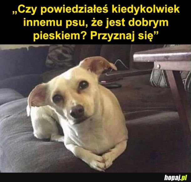 
    Przyznaj się