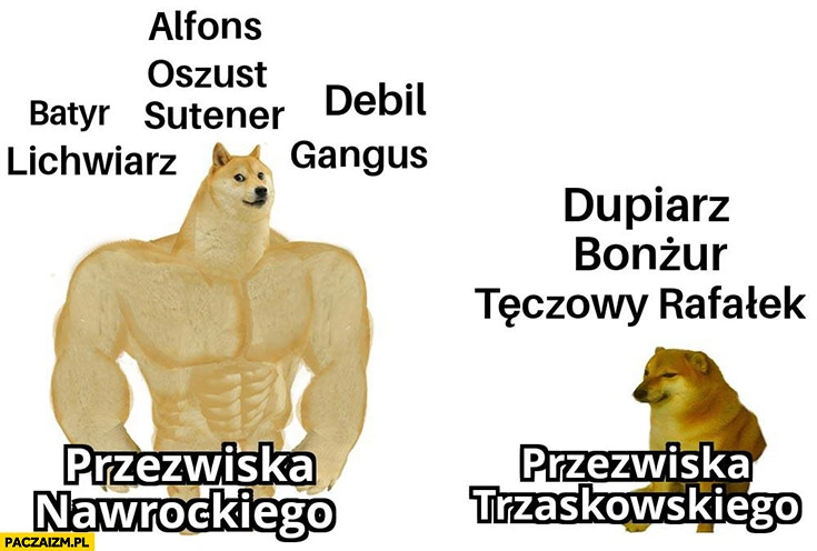 
    Przezwiska Nawrockiego vs przezwiska Trzaskowskiego porównanie pies pieseł doge cheems