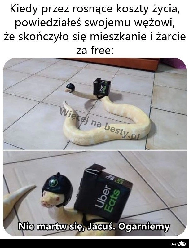 
    Wziął się do roboty 