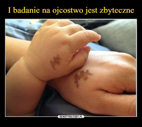 
    I badanie na ojcostwo jest zbyteczne