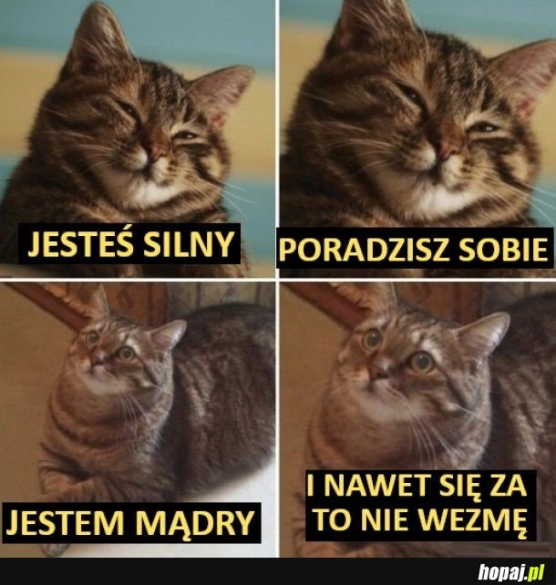 
    Jestem mądry