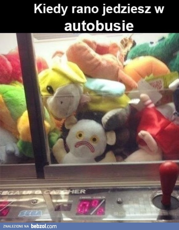Rano w autobusie