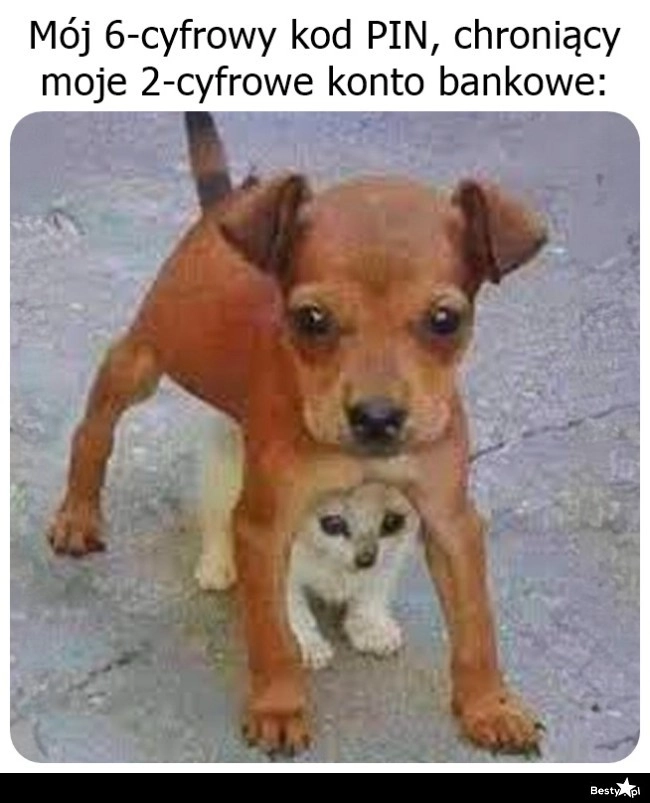 
    Ostrożności nigdy za wiele 