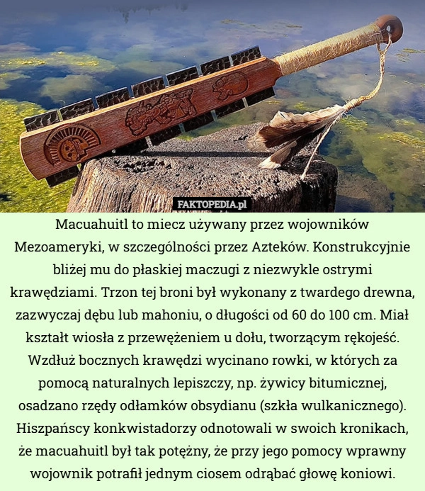 
    Macuahuitl to miecz używany przez wojowników Mezoameryki, w szczególności