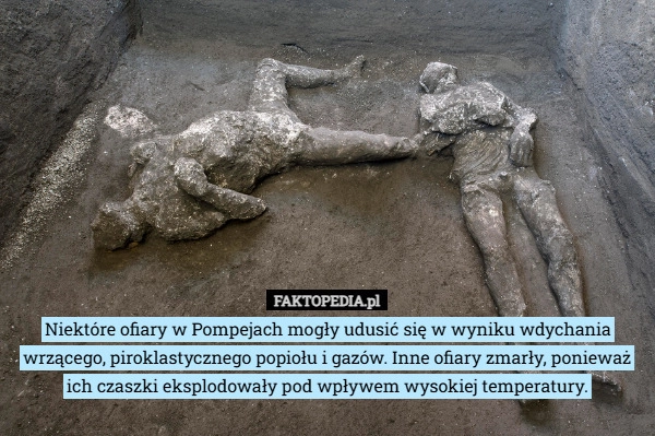 
    Niektóre ofiary w Pompejach mogły udusić się w wyniku wdychania wrzącego,