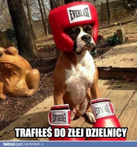 
    Nie podskakuj zią