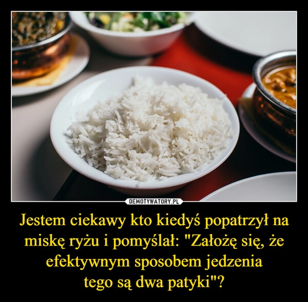 
    Jestem ciekawy kto kiedyś popatrzył na miskę ryżu i pomyślał: "Założę się, że efektywnym sposobem jedzenia
tego są dwa patyki"?