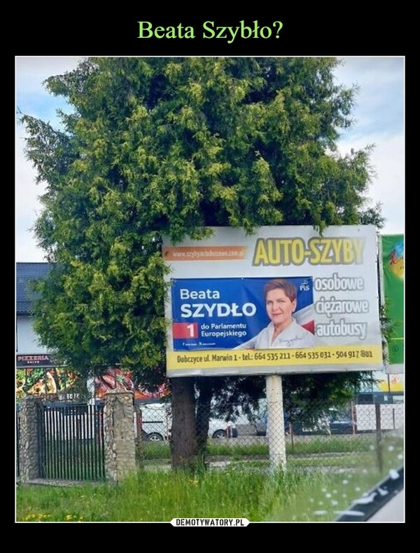 
    Beata Szybło?