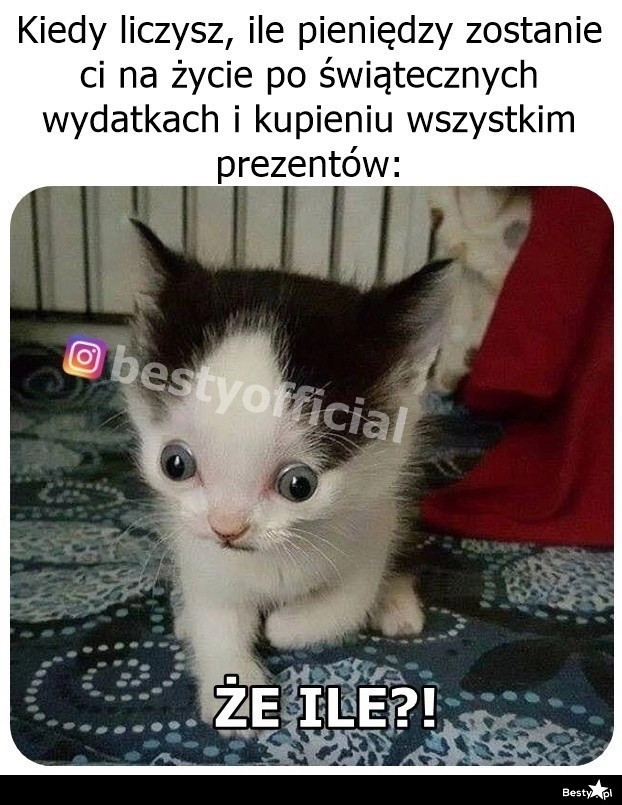 
    Świąteczne wydatki 