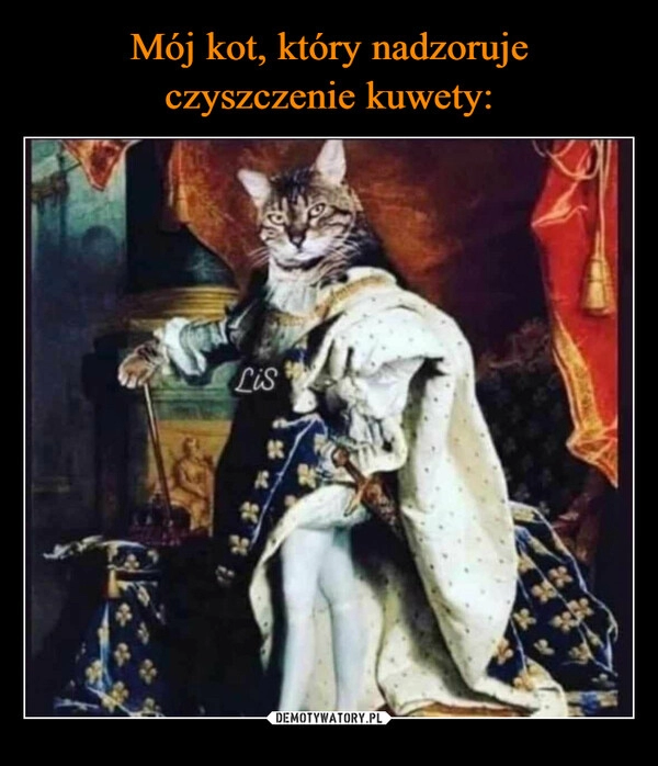 
    Mój kot, który nadzoruje
czyszczenie kuwety: