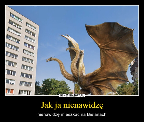 
    Jak ja nienawidzę