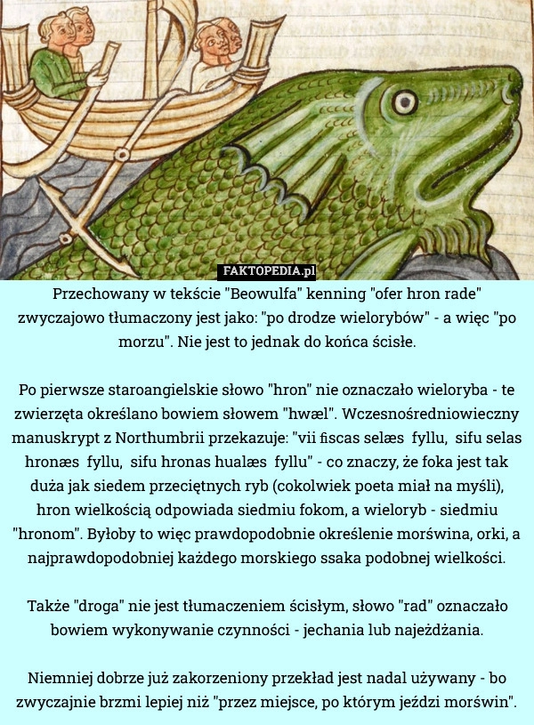 
    Przechowany w tekście "Beowulfa" kenning "ofer hron rade"