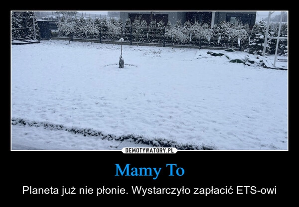 
    Mamy To