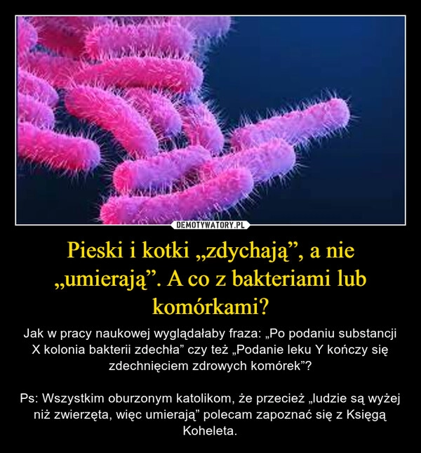 
    Pieski i kotki „zdychają”, a nie „umierają”. A co z bakteriami lub komórkami?