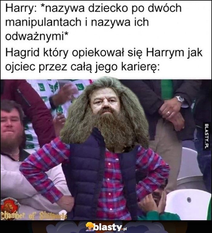 
    Harry Potter: nazywa dziecko po dwóch manipulantach i nazywa ich odważnymi, Hagrid który opiekował się Harrym jak ojciec przez cała jego karierę