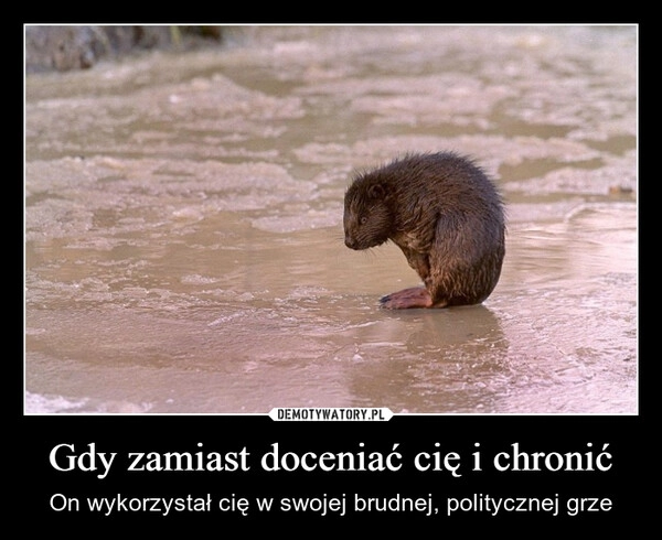 
    Gdy zamiast doceniać cię i chronić