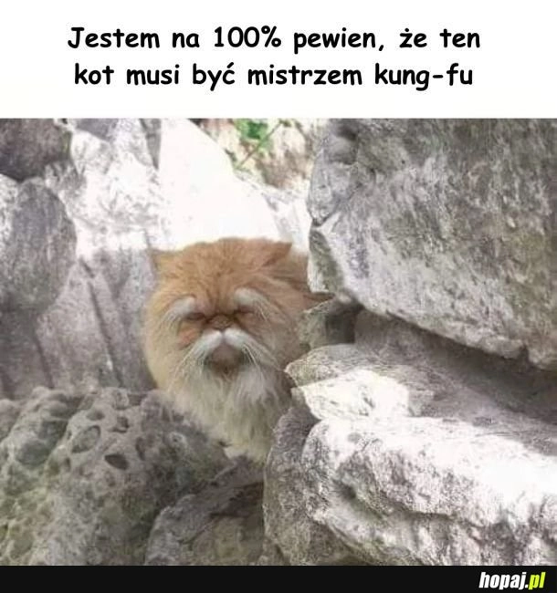 
    Kung-fu