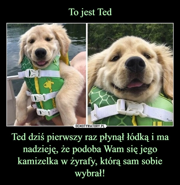 
    To jest Ted Ted dziś pierwszy raz płynął łódką i ma nadzieję, że podoba Wam się jego kamizelka w żyrafy, którą sam sobie wybrał!