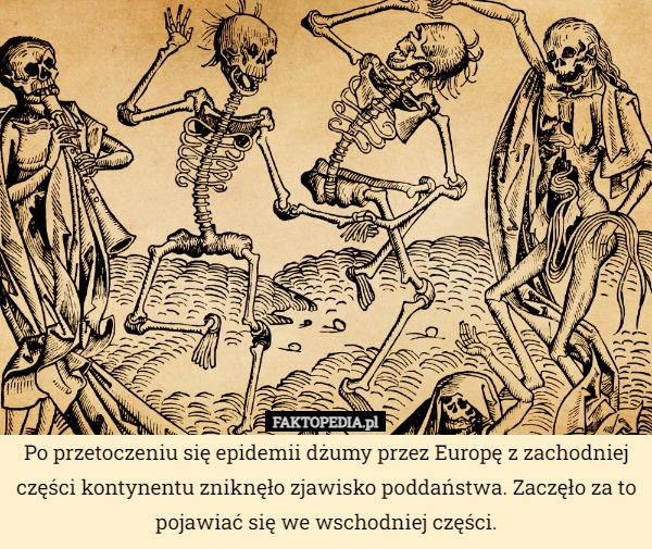 
    Po przetoczeniu się epidemii dżumy przez Europę z zachodniej części kontynentu