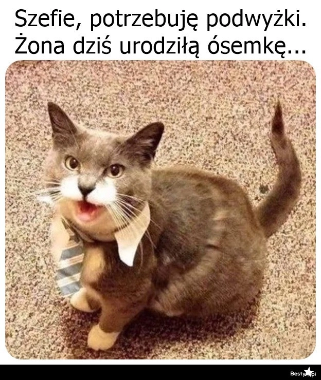 
    Podwyżka 