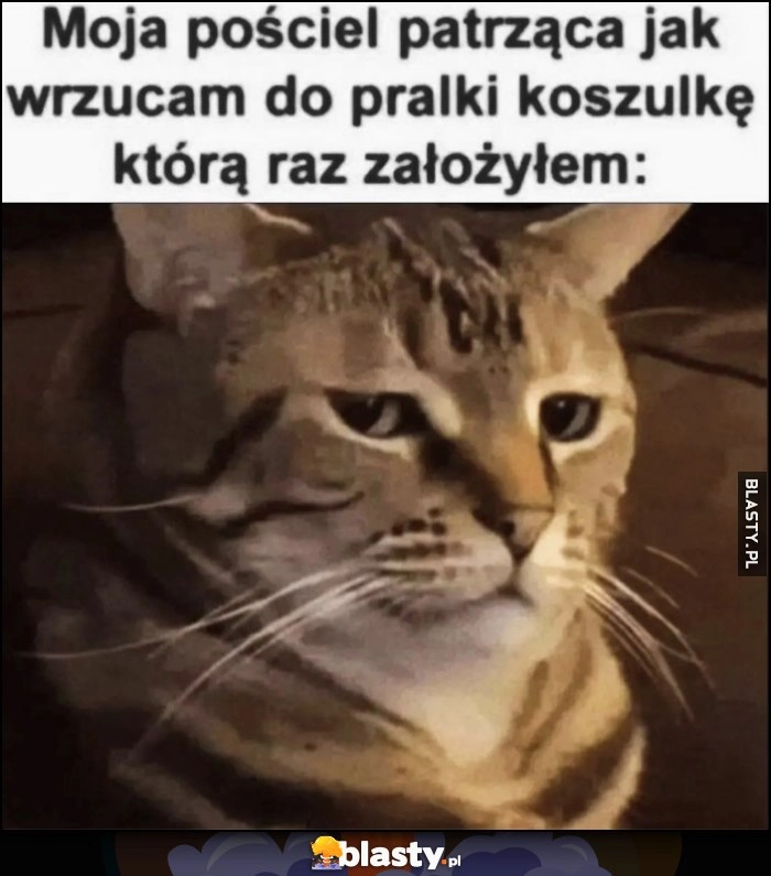 
    Kot moja pościel patrząca jak wrzucam do pralki koszulkę którą raz założyłem