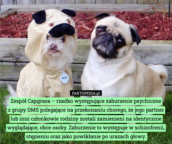 
    Zespół Capgrasa – rzadko występujące zaburzenie psychiczne
 z grupy DMS