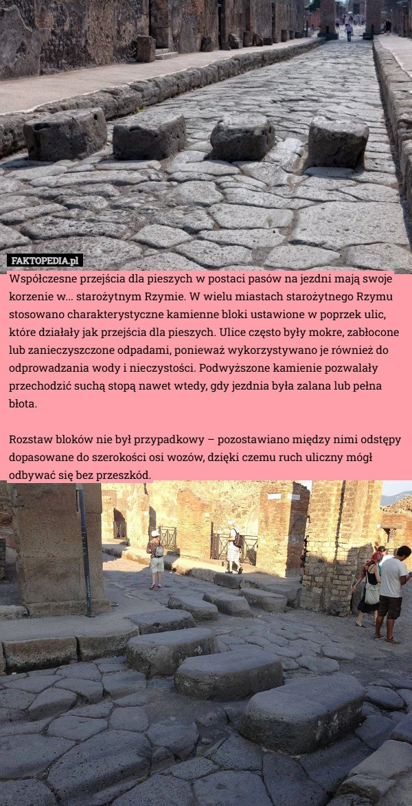 
    Współczesne przejścia dla pieszych w postaci pasów na jezdni mają swoje