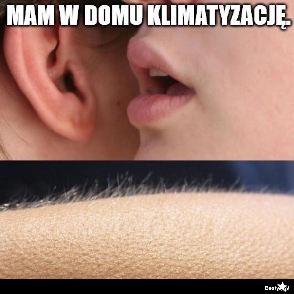 
    Klimatyzacja 