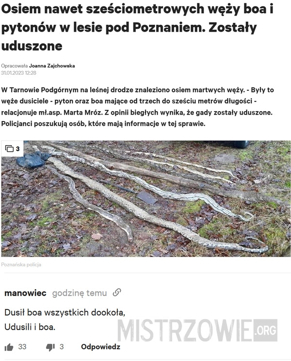 
    Uduszone węże